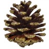 Conuri Decorative, Set, 20 buc, Lemn, Culoare Auriu, Mărime 5 cm, Oem