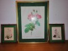 3x tablou botanic plansa botanica flori fundal verde Imprimeria Remond trandafir nalba brandusa