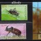MOLDOVA 2024, Fauna, serie neuzata, MNH