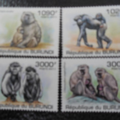 Burundi -Fauna ,maimute-serie completa ,MNH