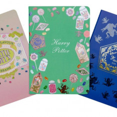 Harry Potter: Honeydukes Planner Notebook Collection (Set of 3)