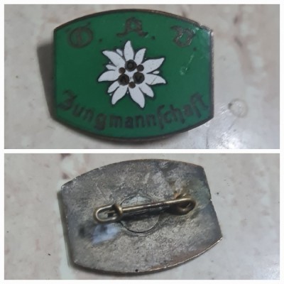 WW2 insigna Germana. foto