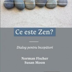 Norman Fischer - Ce este Zen ? Dialog pentru începători