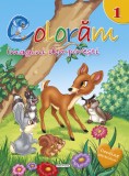 Coloram 1 - Imagini din povesti reed.I PlayLearn Toys, Girasol