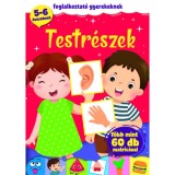 Testr&eacute;szek - Foglalkoztat&oacute; gyerekeknek