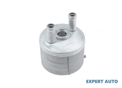 Radiator ulei Seat Alhambra (2000-2010) #1 foto