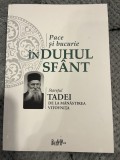 Pace şi bucurie ȋn Duhul Sf&acirc;nt - Tadei