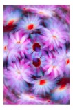 Tablou Canvas cu Flori Efemere, Artă Florală Abstractă pentru Interioare, 26 x 39 cm, CMCLASS