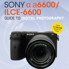 David Busch's Sony Alpha a6600/ILCE-6600 Guide to Digital Photography | David Busch