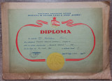 Diploma Asociatia de Cultura Fizica si Sport Dinamo 1965