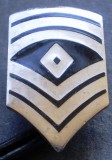 M.179 USA SUA INSEMN GRAD MILITAR SERGENT US U.S. ARMY 1ST. SGT SERGEANT E-8