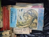 Zola Visul vintage