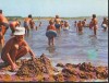 CPI B12646 CARTE POSTALA - TECHIRGHIOL. PE MALUL LACULUI, Necirculata, Fotografie