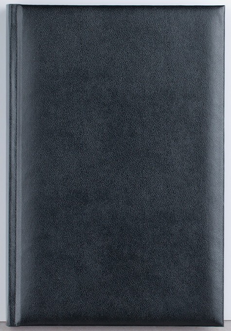 Agenda Basic 360 pagini CS Ego