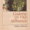 Galeria cu vita salbatica