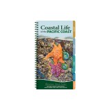 Coastal Life of the Pacific Coast: Discover Tidepools and Identify Beachcombing Finds and Iconic Wildlife
