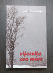 VIFORNITA CEA MARE - PREOT DIMITRIE BEJAN foto