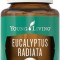 Ulei esential Eucalipt Radiata (Eucalyptus Radiata) 15 ML