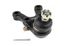 Rotula brat suspensie Mitsubishi Pajero 1990-2000, Fata, Inferior, Dreapta, NTY ZSD-MS-009