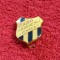 Insigna fotbal - Cupa &quot;PROGRESUL&quot; - Finala