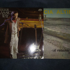 LOT 24 VINILURI MUZICA