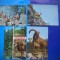 HOPCT LOT NR 458 MUFLON/MUFLONI -FAUNA-4 CARTI POSTALE-NECIRCULATE