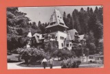 AMS - CP SINAIA - CASA DE CREATIE ,, PELISORUL'', 1963