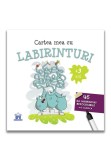 Cumpara ieftin Cartea mea cu labirinturi - 46 de labirinturi refolosibile + o carioca (+3 ani), Didactica Publishing House