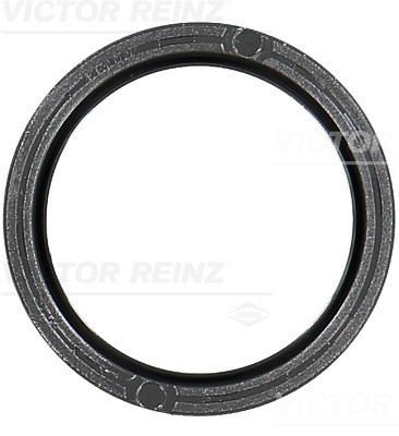 VICTOR REINZ 81-10481-00 Simering, ax cu came foto