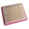 Texas Filtru aer hartie 134x114x22mm ProAdvanced PowerfulTools