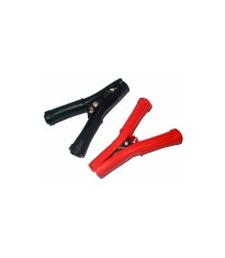 Crocodil 30A izolat foto