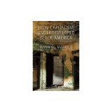 How Capitalism Underdeveloped Black America: Problems in Race, Political Economy, and Society
