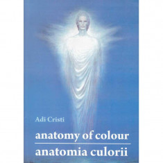 Adi Cristi - Anatomy of colour. The hall of the lost steps/ Anatomia culorilor. Sala pasilor pierduti - 134549