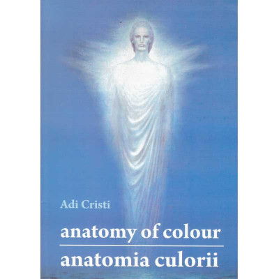 Adi Cristi - Anatomy of colour. The hall of the lost steps/ Anatomia culorilor. Sala pasilor pierduti - 134549 foto