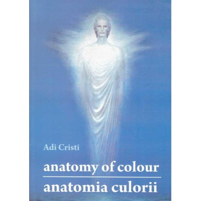 Adi Cristi - Anatomy of colour. The hall of the lost steps/ Anatomia foto