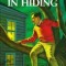 Figure in Hiding