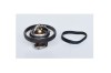 Termostat Lichid Racire 151057 73379