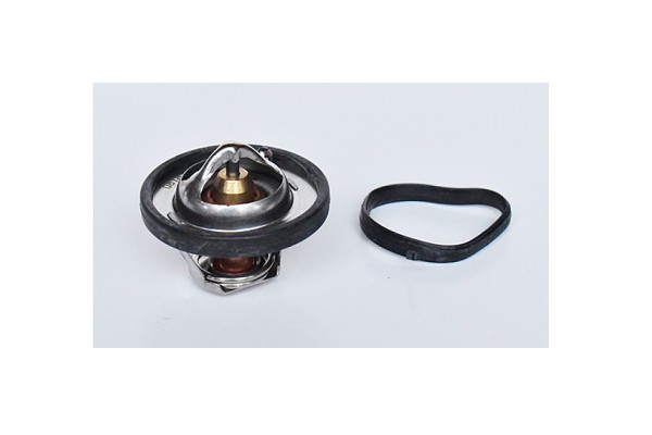 Termostat Lichid Racire 151057 73379