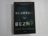 SCANTEIE IN BEZNA - STACY WILINGHAM
