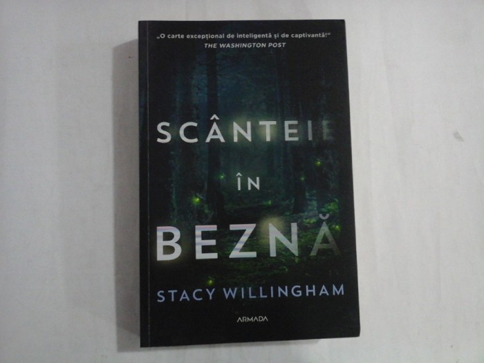 SCANTEIE IN BEZNA - STACY WILINGHAM