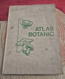 Atlas botanic Lucia Popovici