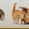 Bordura decorativa Zoo 522