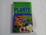 (Ghid complet All) PLANTE DE BALCON SI GRADINA - Maria Teresa Della Beffa