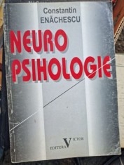 NEURO PSIHOLOGIE - CONSTANTIN ENACHESCU foto
