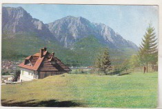 bnk cp Poiana Tapului - Vedere spre muntii Bucegi - uzata