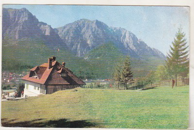 bnk cp Poiana Tapului - Vedere spre muntii Bucegi - uzata foto
