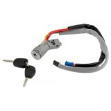 Contact pornire Citroen Berlingo 2002-2008, Peugeot Partner 2002-2008, doua chei incluse, 4162CH