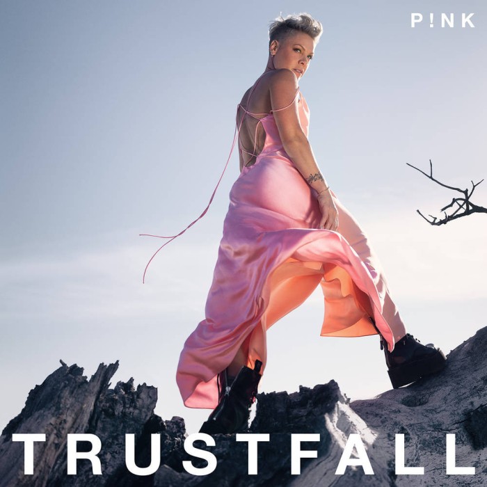 Pink Trustfall (cd)