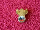 Insigna fotbal - Federatia de Fotbal din RUSIA