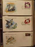 FAUNA WWF - 3 PLICURI PRIMA ZI